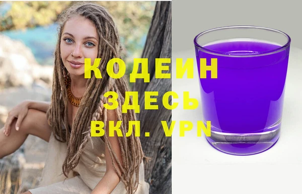 шишки Переславль-Залесский